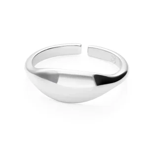 ANILLO PURNIT